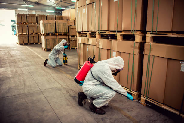 Best Local Pest Control Services  in Tishomingo, OK