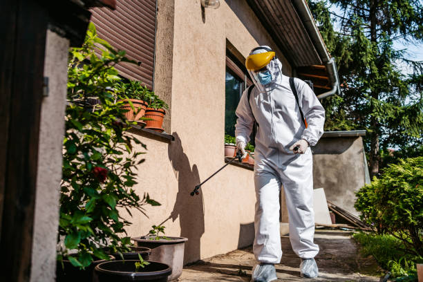 Flea Control Services in Tishomingo, OK