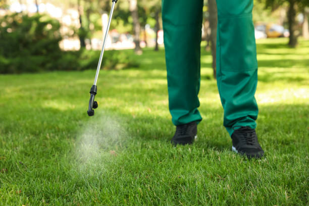 Best Exterminator Services  in Tishomingo, OK