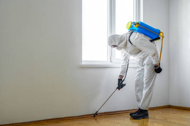 Best Pest Inspection Near Me  in Tishomingo, OK