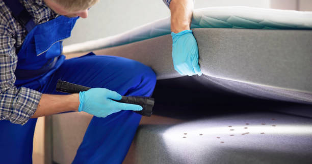 Best Rat Extermination Near Me  in Tishomingo, OK