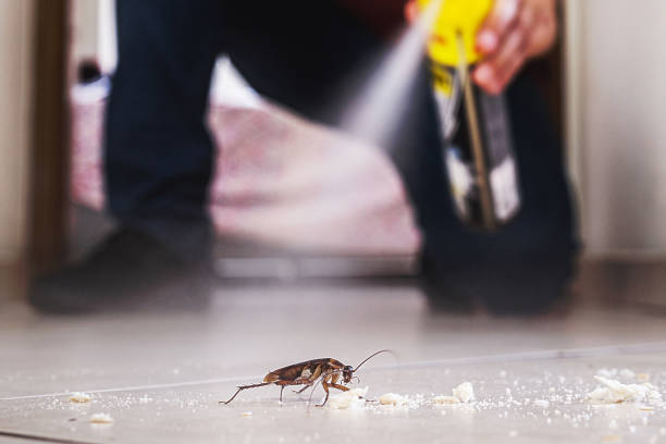 Best Insect Control  in Tishomingo, OK