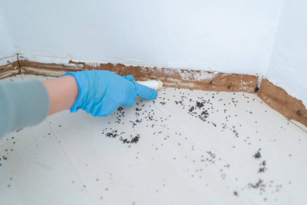 Best Best Pest Control Companies  in Tishomingo, OK